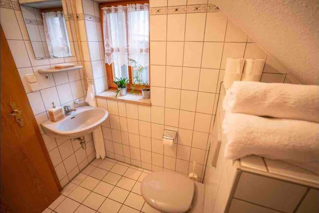 Gemuetliches Apartment Im Wunderschoenen 칼문즈 외부 사진